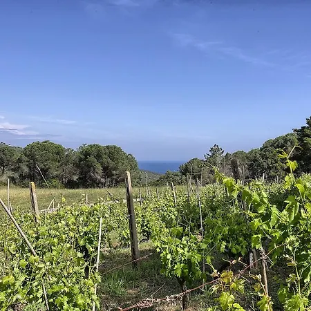 Villetta Campo Al Pero * Rio dellʼElba
